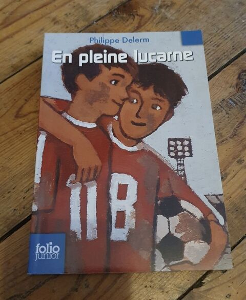 En pleine lucarne 2 Monistrol-sur-Loire (43)