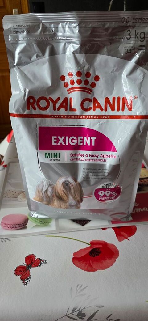 croquettes d'occasion 45 37800 Sainte-maure-de-touraine