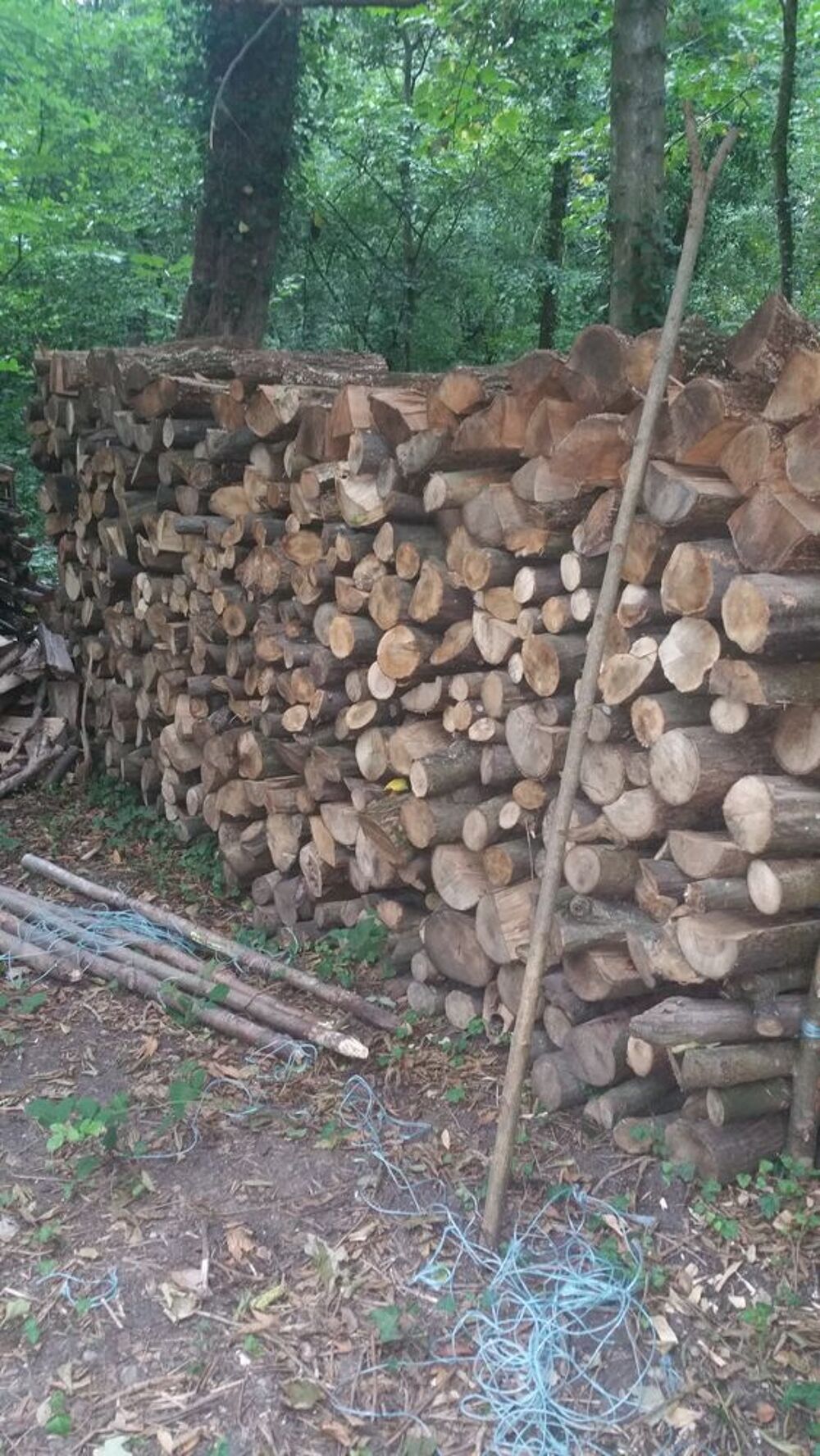 bois de chauffage Bricolage