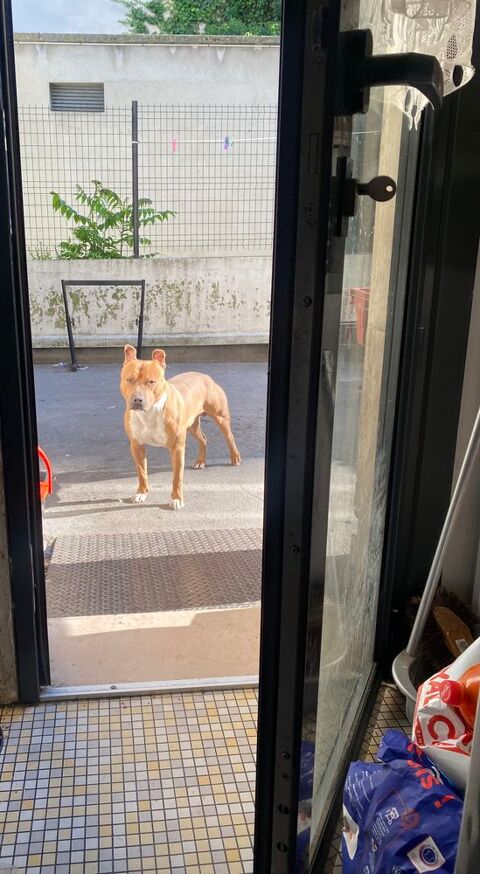 Staff &agrave; donner. 0 93200 Saint-denis