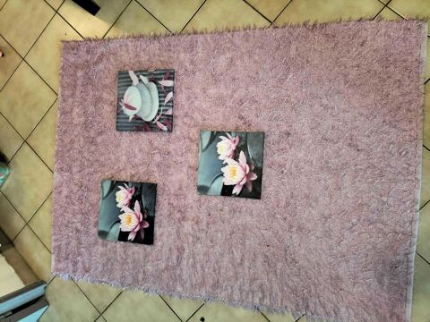 tapis  avec le tableau 45 Lyon 7 (69)