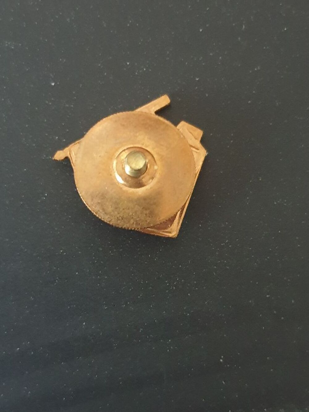 Ancien insigne militaire (Ex URSS) 