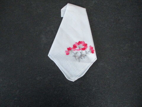 Pochette 5 Castres (81)