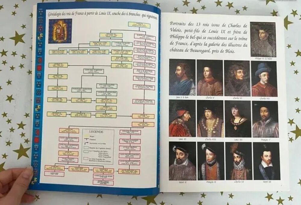 Ch&acirc;teaux de la Loire. Livre Illustr&eacute;. Excellent &Eacute;tat Livres et BD