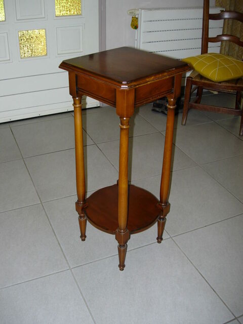 Sellette Haute bois 50 Castelnau-d'Estr�tefonds (31)