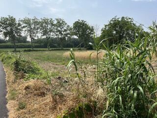  Terrain � vendre 1343 m�