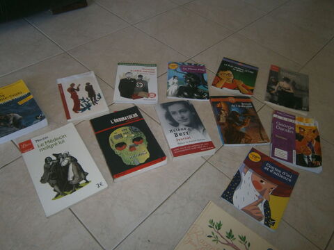 livres littéraire pour collège 3 Annonay (07)