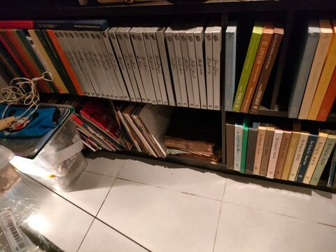 VINYLES 300 Llauro (66)