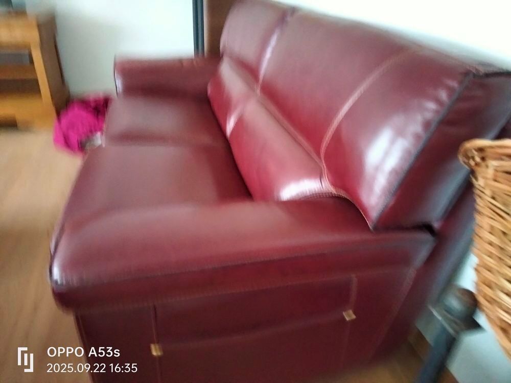 Canap&eacute; en cuir bordeaux 3 places Meubles