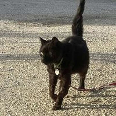   OSCAR 