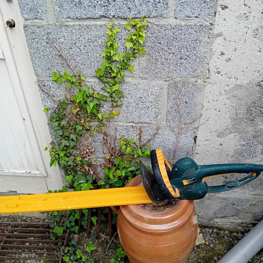 Taille haies &eacute;lectrique Jardin