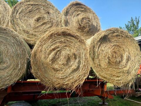 Foin de prairie naturelle et temporaire bottes  17 Montbazens (12)