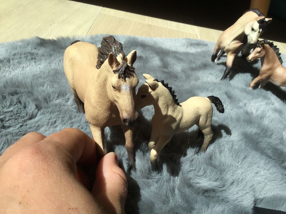 Pack de 6 schleich ( chevaux et chiens ) Jeux / jouets