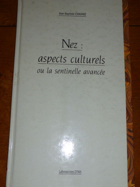 Nez aspects culturels ou la sentinelle avance CHAUMIE 3 Rueil-Malmaison (92)