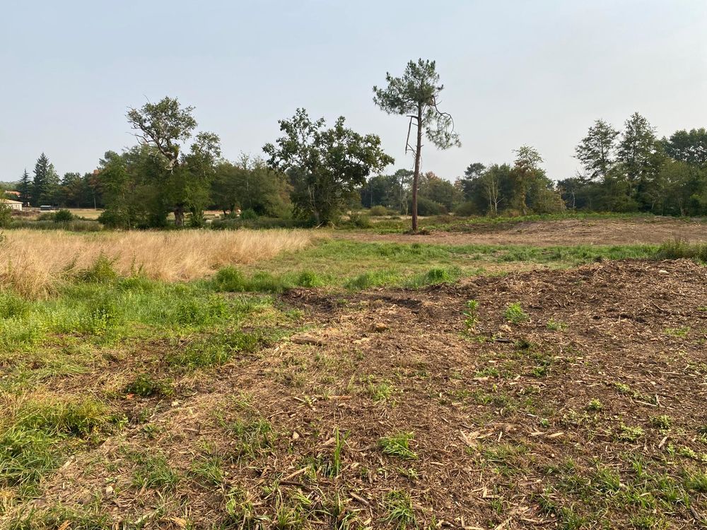 Vente Terrain Terrain de 20904 m² - Montendre centre - Constructible Montendre