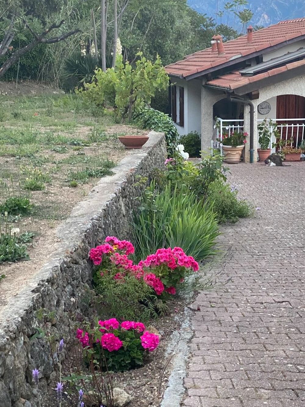 Vente Villa Villa avec terrain Italie Vintimille Vintimille, imperia, italie (Italie)