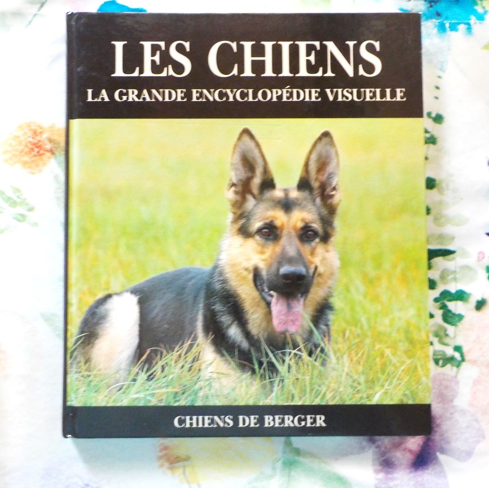 CHIENS DE BERGER Les chiens La grande encyclop&eacute;die visuelle Livres et BD