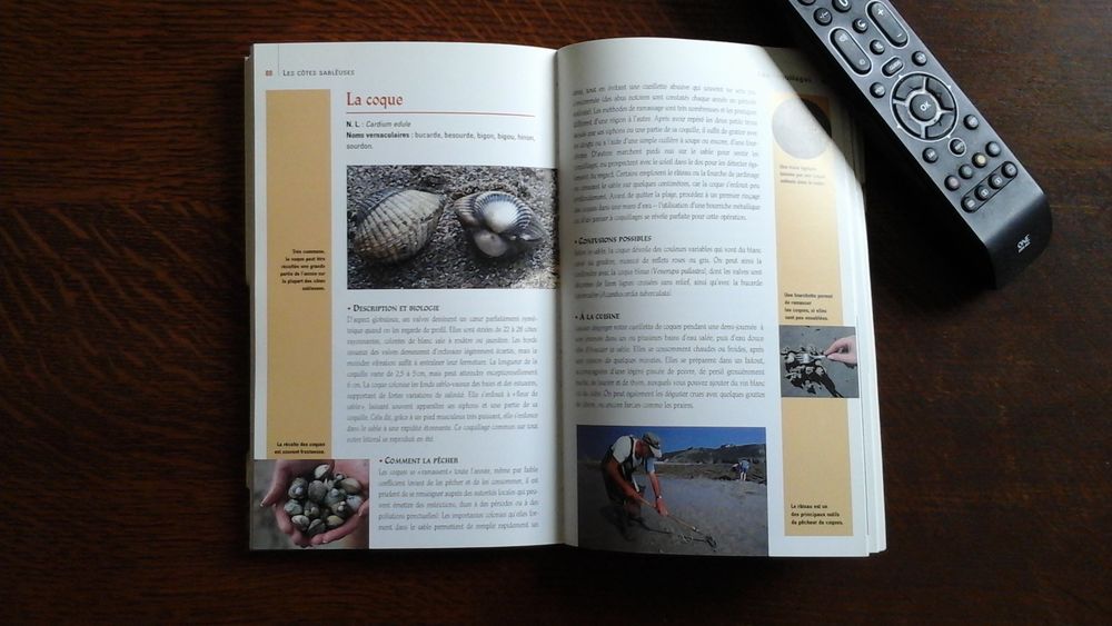 Livre sur la p&ecirc;che &agrave; pied Livres et BD