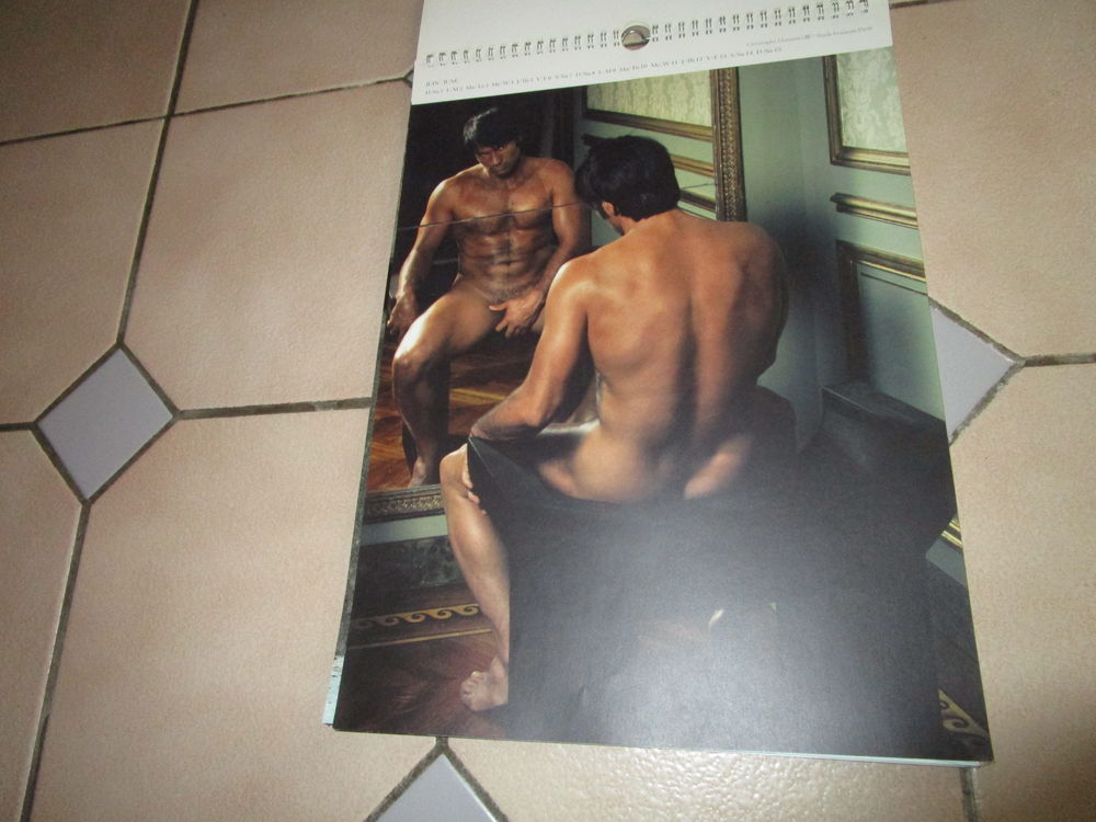  CALENDRIER 2008 STADE FRANCAIS RUGBY"LES DIEUX DU STADE 