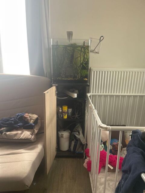 aquarium complet 250 Ormesson-sur-Marne (94)