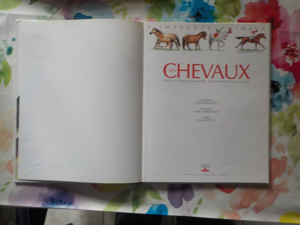 LES CHEVAUX L'Imagerie animale Ed. Fleurus Enfants Livres et BD