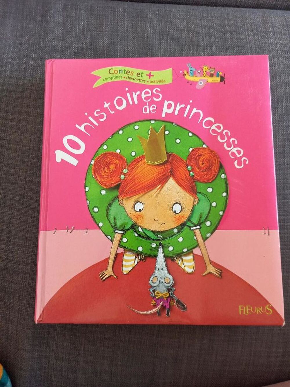 10 Histoires de princesses de Fleurus Livres et BD