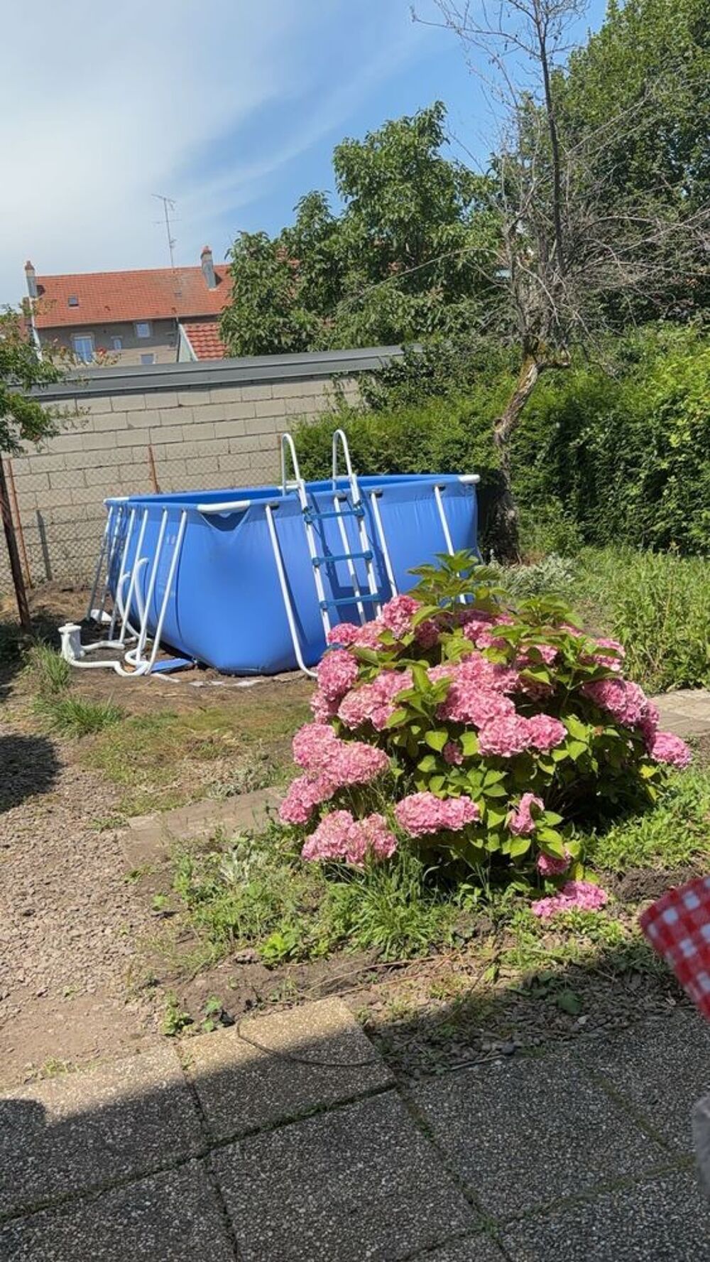 piscine Jardin