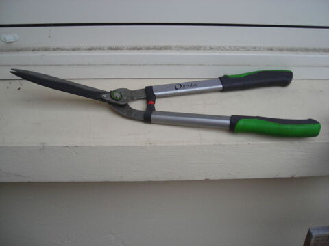 taille haies 20 Arcachon (33)