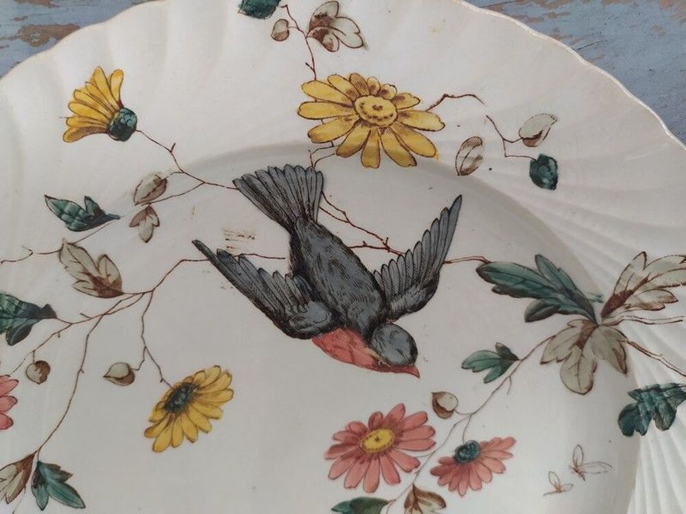 Assiette Fa&iuml;ence Anglaise XIX&egrave;me D&eacute;cor Fleurs et Oiseau
Décoration