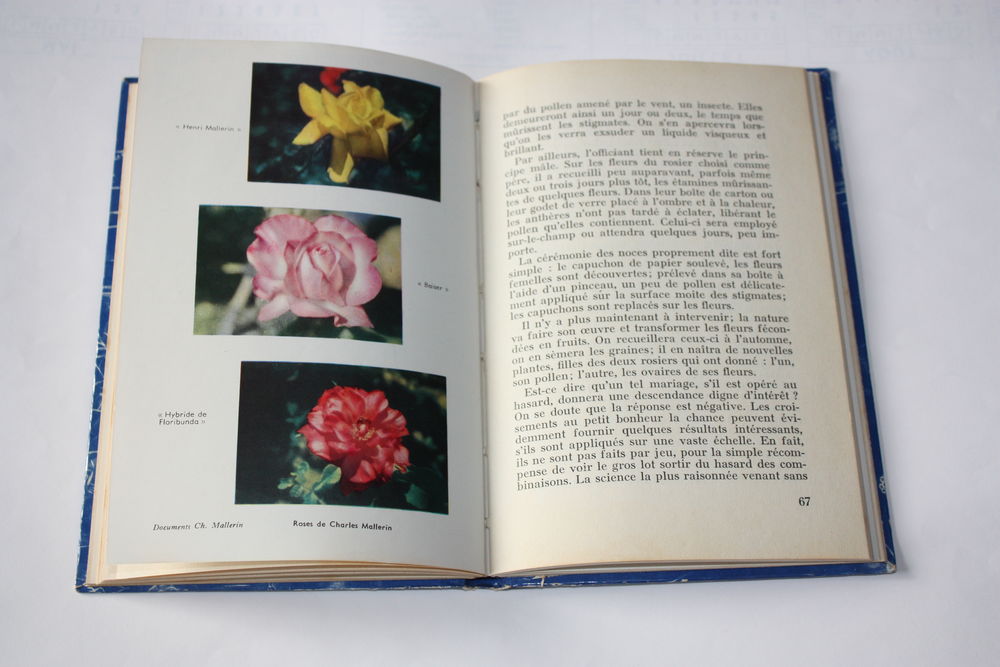 LE ROMAN DES ROSES - GEORGE ADAM- Livre Roman D'Horticulture Livres et BD