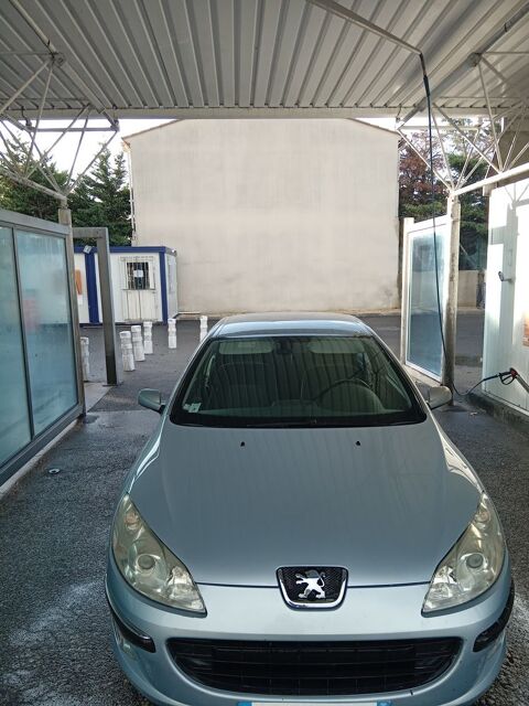 Peugeot 407 2.0 HDi 16v Confort FAP