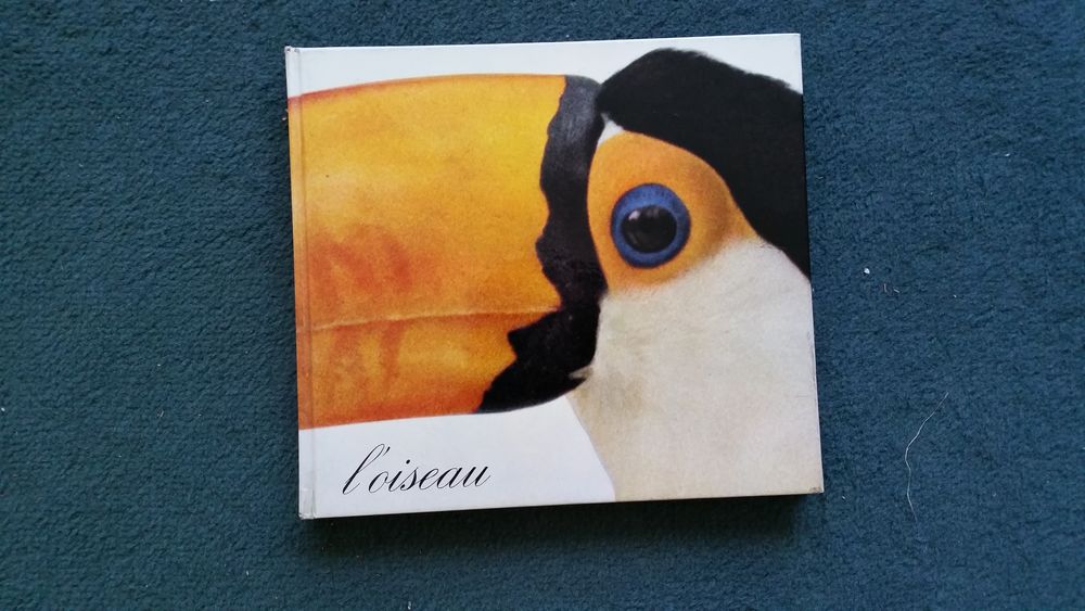 L'oiseau Simonne Jacquemard Livres et BD