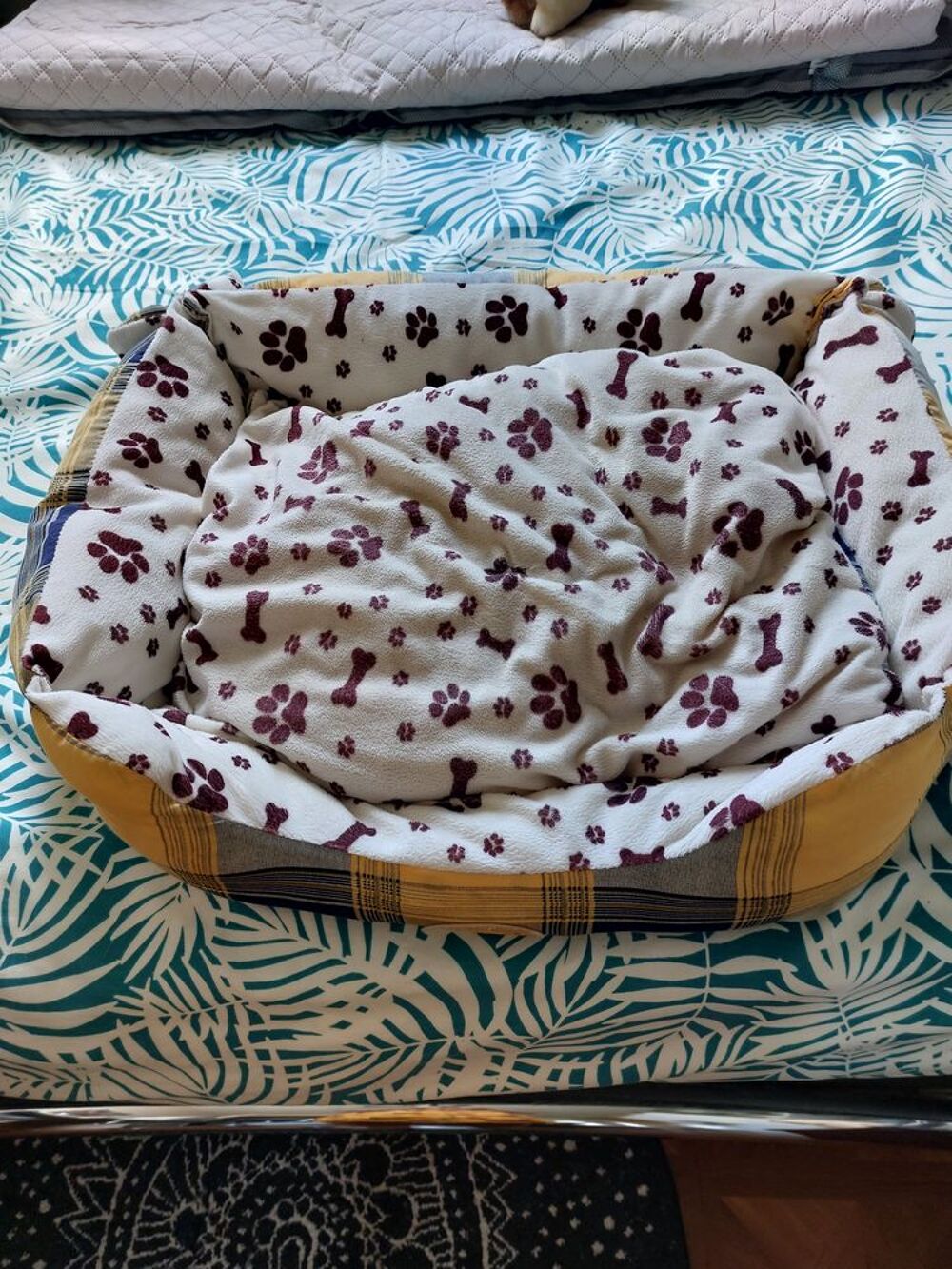 panier pour chiens Décoration
