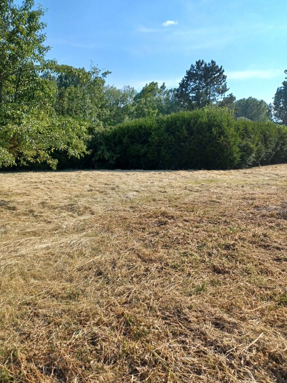 Vente Terrain Terrain 723 M2 viabilisé constructible ( libre constructeurs Villeneuve-sur-aisne