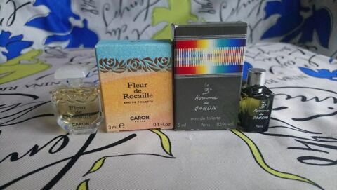 MINIATURE DE PARFUM 4 Trouy (18)