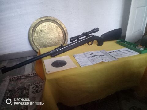 Carabine a air comprim� RUGER 4.5 120 Saintes (17)