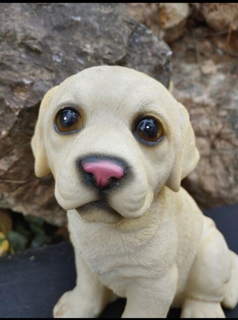 Chiot labrador beige en rsine. Hauteur 21cm 15 Laval (53)
