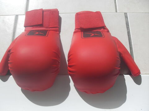Gants de karat� 17 Saint-Germain-au-Mont-d'Or (69)