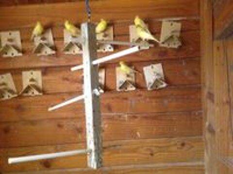   cages materiels 