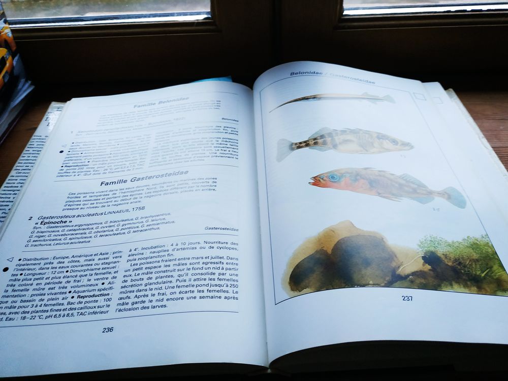 encyclop&eacute;die des poissons d'aquarium Livres et BD