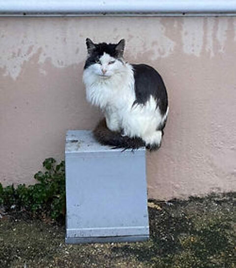 F&eacute;lix 150 26700 Pierrelatte