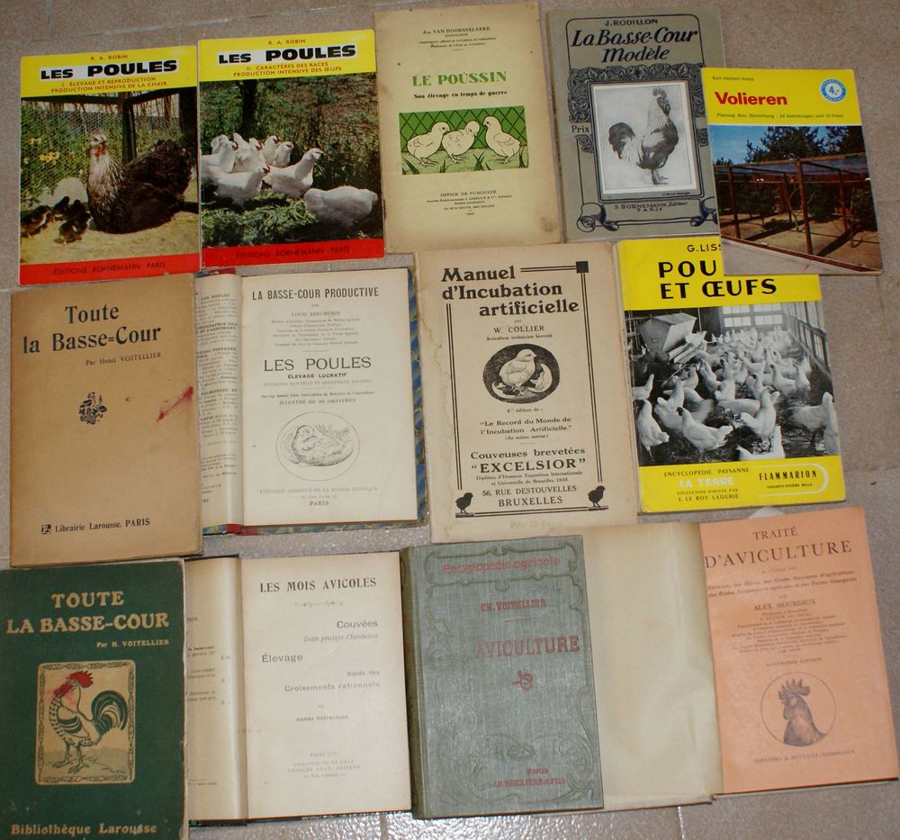13 livres poules, aviculture Livres et BD