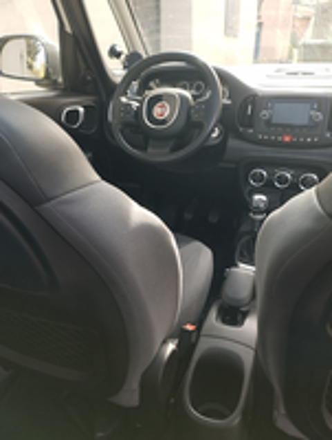 500 L 2014 occasion 69700 Givors