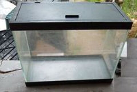   petit aquarium Ciano 13 litres 