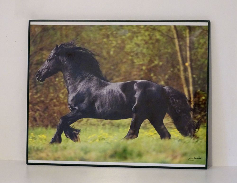 Lot 3 Cadres "Photo Passion" + 2 posters
Décoration