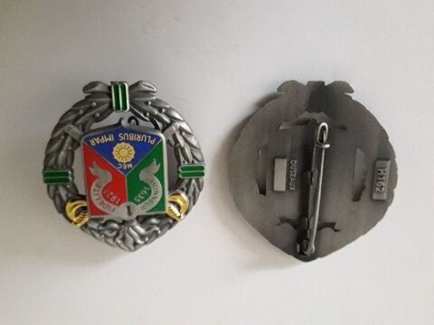 insigne legion 1e R E C - 5 Palaja (11)