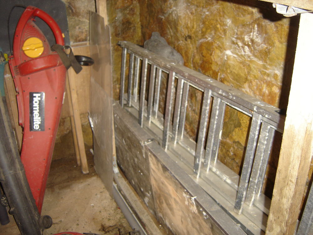 &eacute;chelle trois pent longueur 2m40 Bricolage