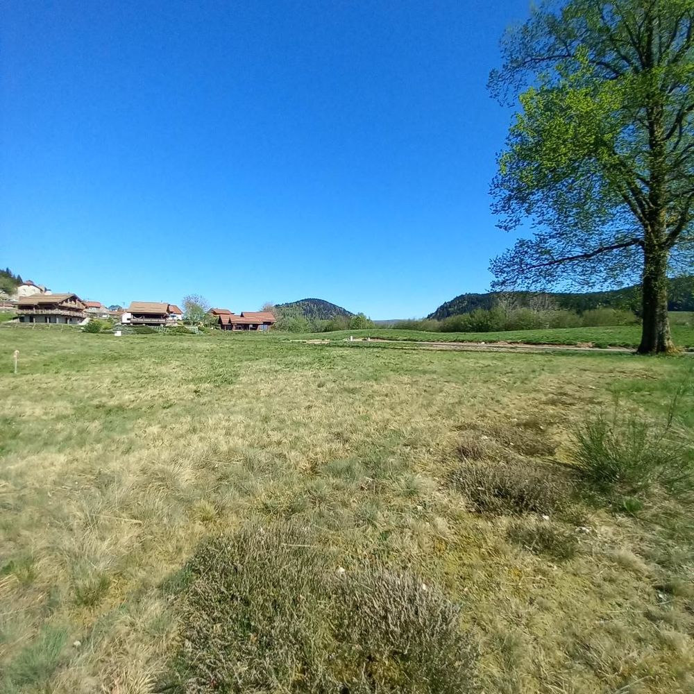 Vente Terrain terrain constructible viabilisé Xonrupt-longemer