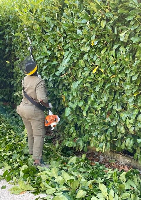 Solutions d'entretien pour professionnels - G LOT Pro 0 46000 Cahors