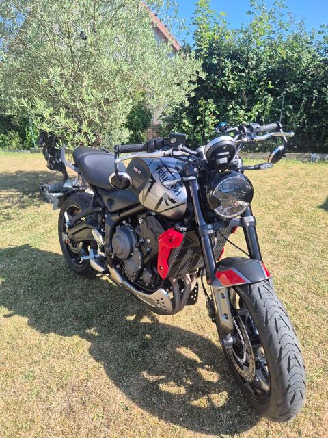 Moto TRIUMPH 2021 occasion Hamelincourt 62121